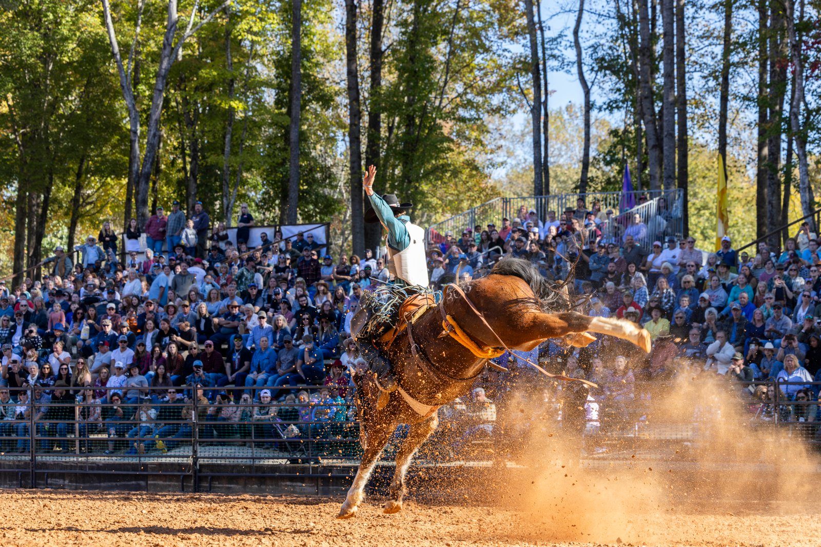 A saddle bronc rider waves one arm high as his horse kicks up dust in front of packed hillside stands at the Rassawek Vineyard pro rodeo in Columbia, Virginia.