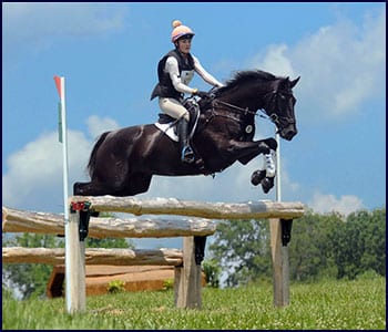Windchase Farm — photo 2 of 2