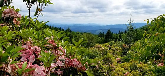 Grayson Highlands State Park — photo 3 of 3