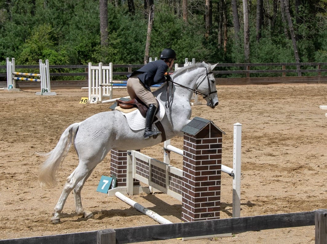 Gray Horse Farm — photo 1 of 4