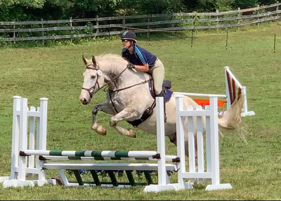 Gray Horse Farm — photo 4 of 4