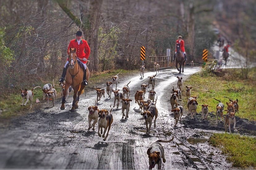 Keswick Hunt Club — photo 1 of 5