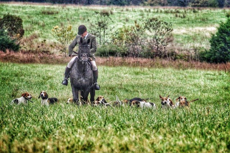 Keswick Hunt Club — photo 2 of 5