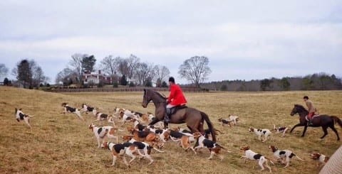 Keswick Hunt Club — photo 4 of 5