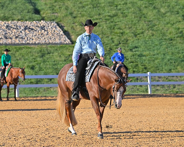 Goochland Open Horse Show