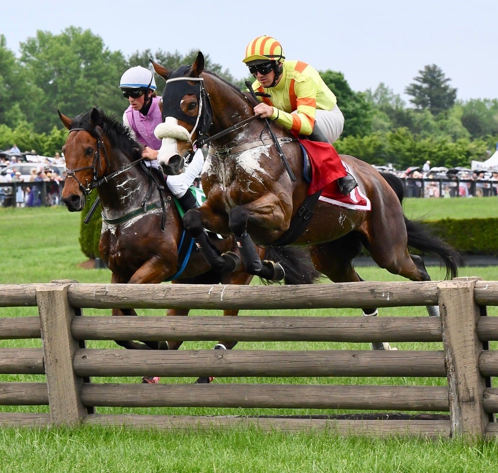 Virginia Gold Cup Steeplechase