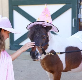 Costumes with Cupcake at Salamander Equestrian Center