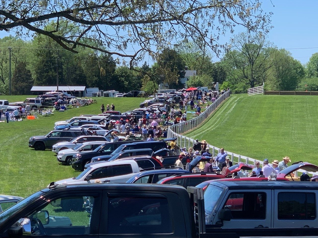 Middleburg Spring Races