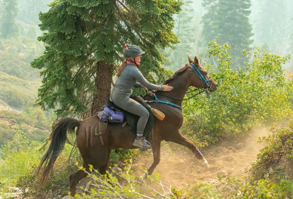 Shenandoah Endurance Classic
