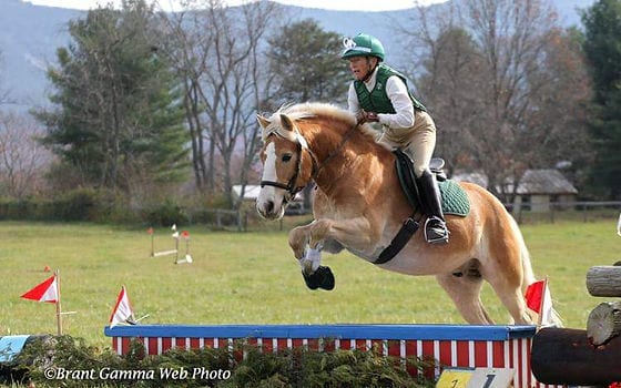 Eventing in Virginia – Jumper Derby & Dressage