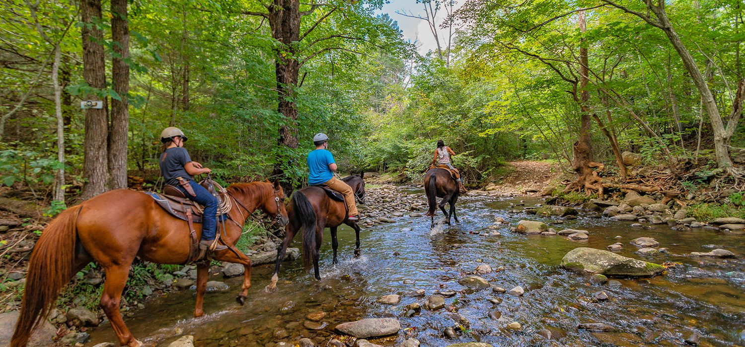 Shenandoah Mountain Trail Ride