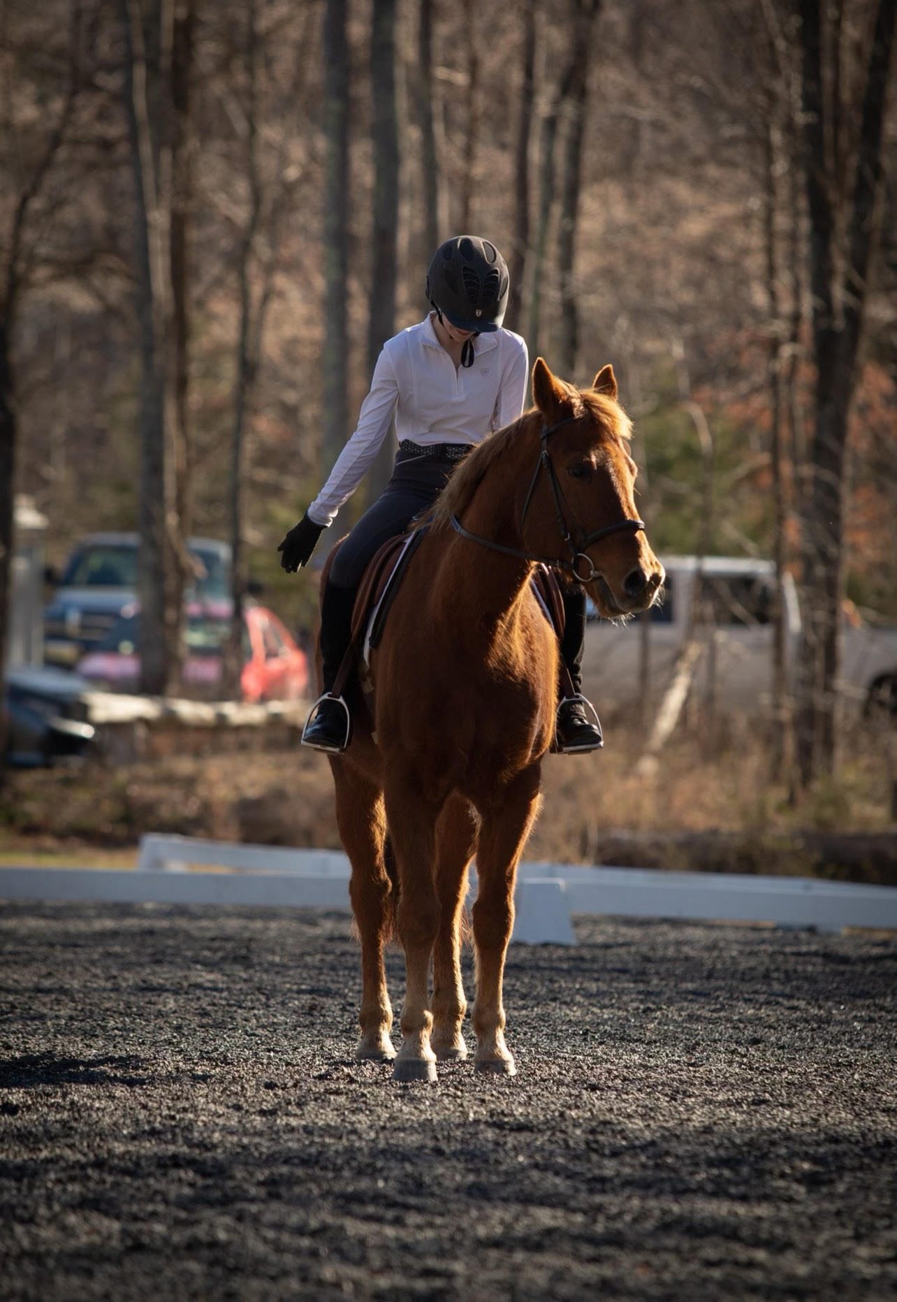 Keystone Acres Fall II CT & Dressage Show