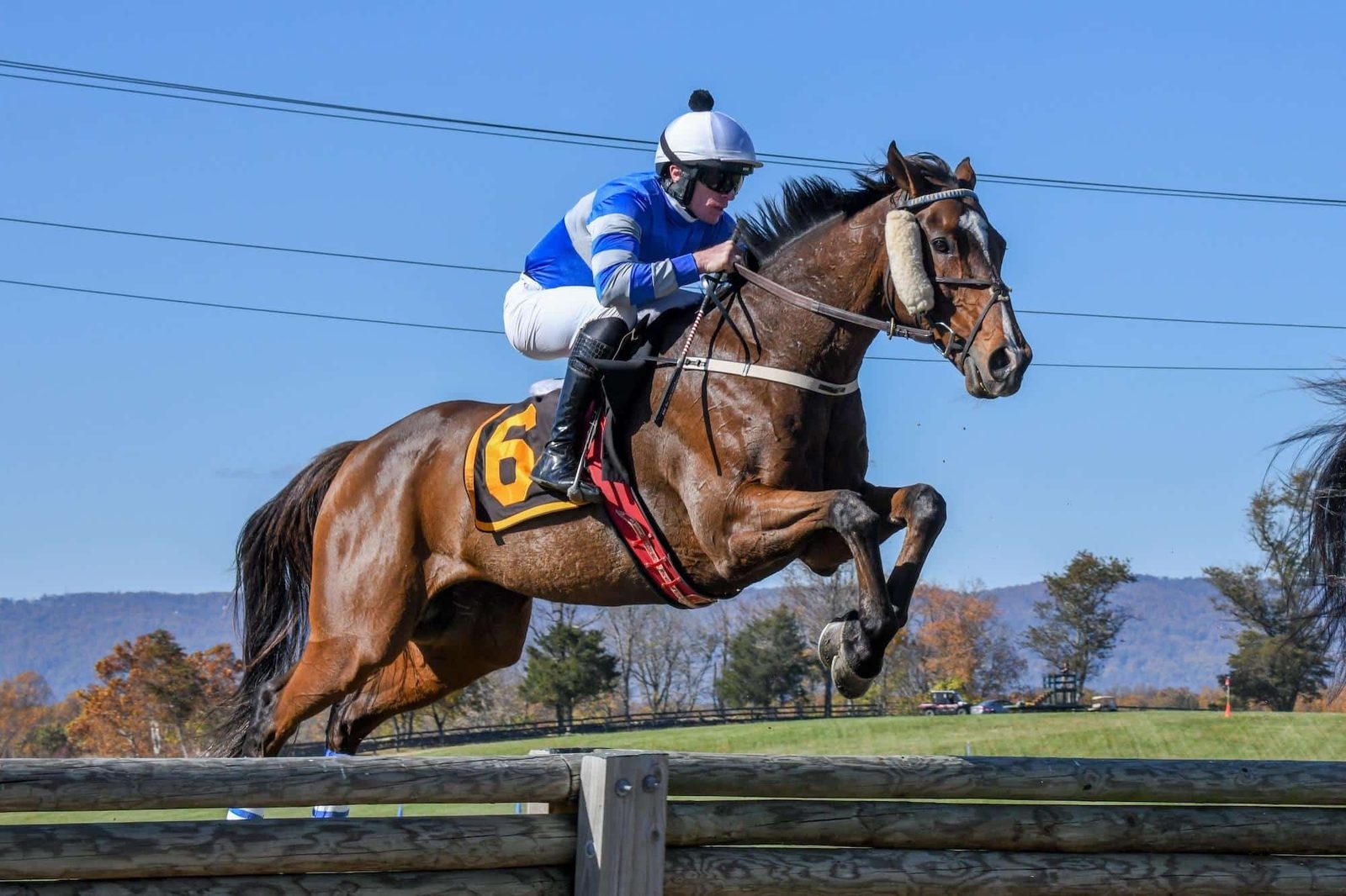 International Gold Cup Steeplechase