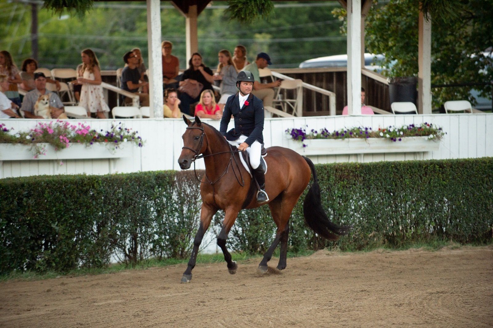 Warrenton Horse Show