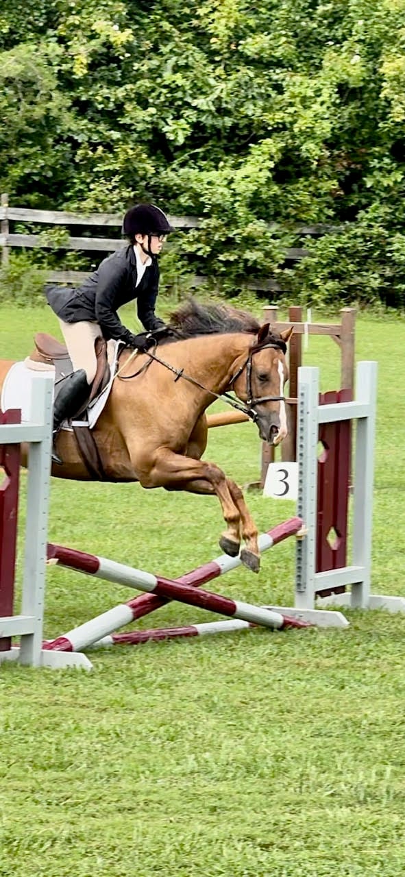 Calais Horse Trials & Combined Test