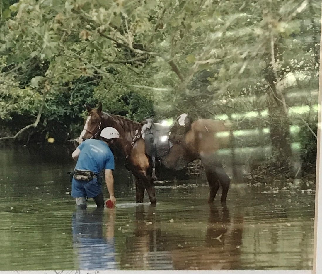 Old Dominion 100-Mile Endurance Ride