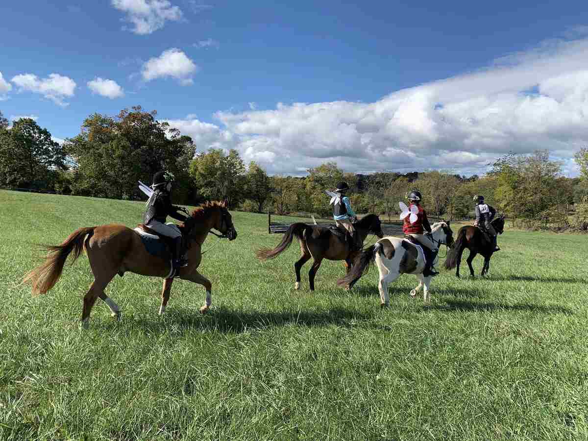Fredericksburg Hunter Pace