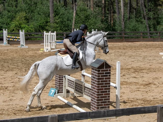 Gray Horse Farm — photo