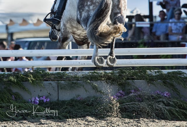 Deep Run Farm — photo
