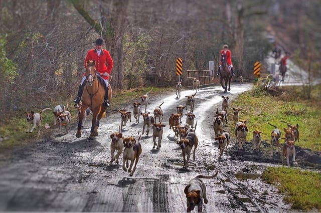 Keswick Hunt Club — photo