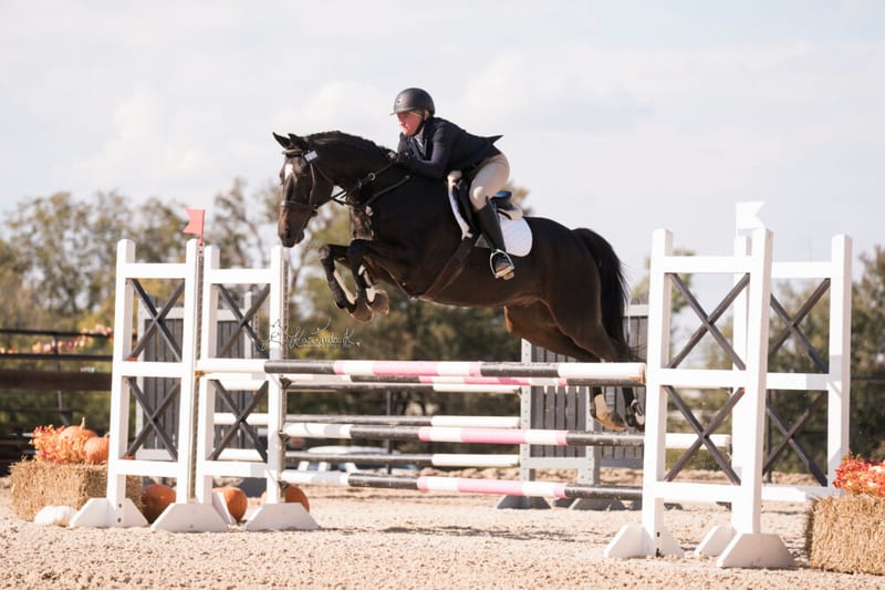 UDJC Dressage and Jumping Show