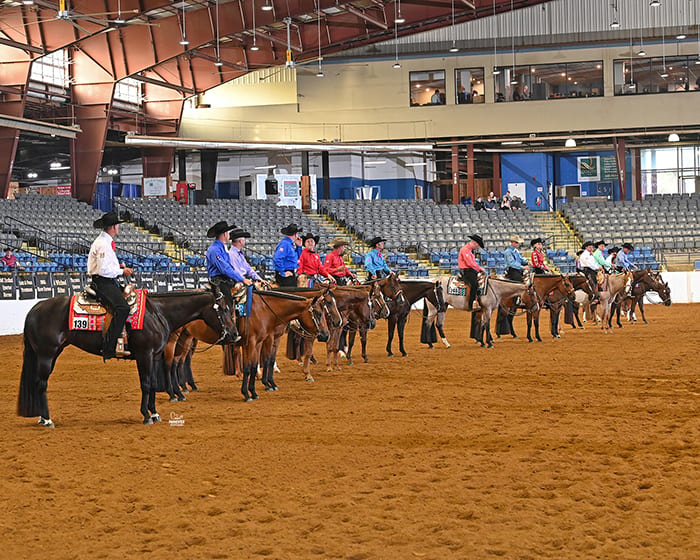 Prince William County Fair Horse Show