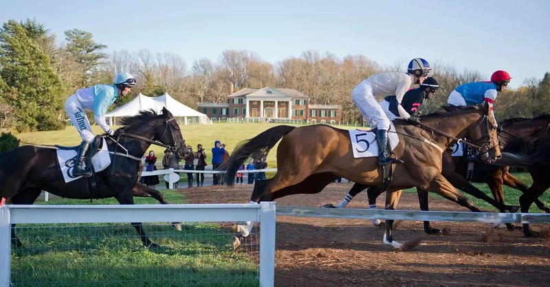 Montpelier Fall Horse Trials