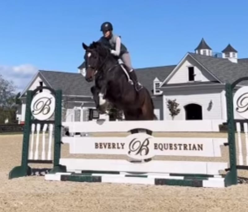 Beverly Summer 3 Hunter/Jumper Show