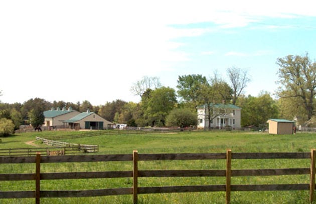 Oakdale Halloween HT, CT & Dressage Show