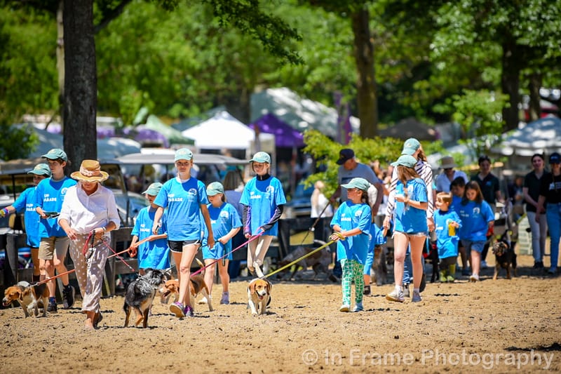 Upperville Colt & Horse Show