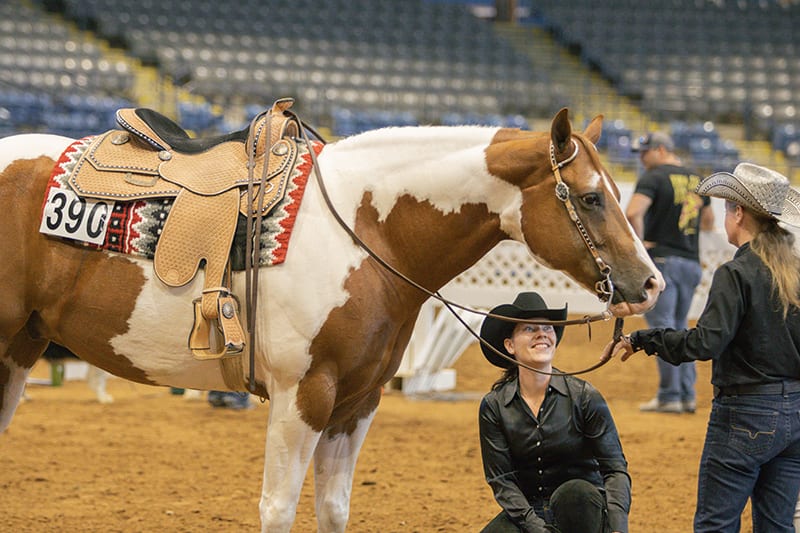 Virginia Paint Horse Show