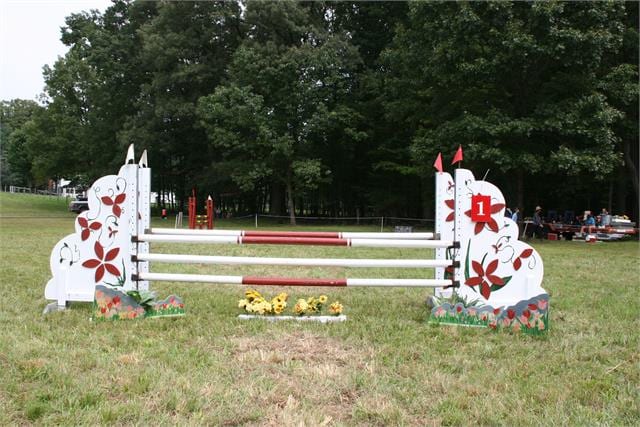 Loudoun Hunt Pony Club Rally