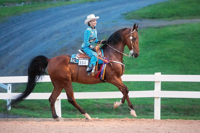 Sallie B. Wheeler / Virginia Young Horse Show