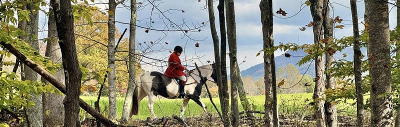 Bedford County Hunt Hunter Pace at Long Meadows Farm (Nov 6)