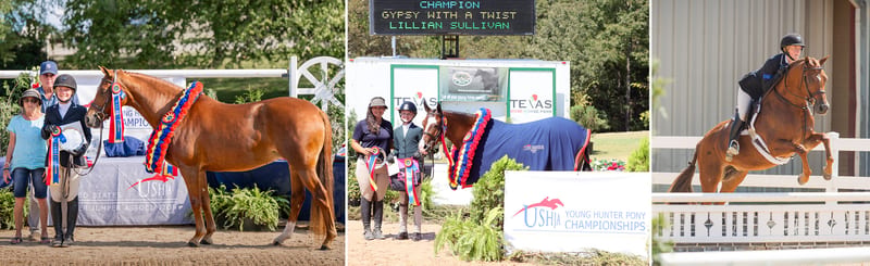 USHJA Young Hunter Pony National Championship