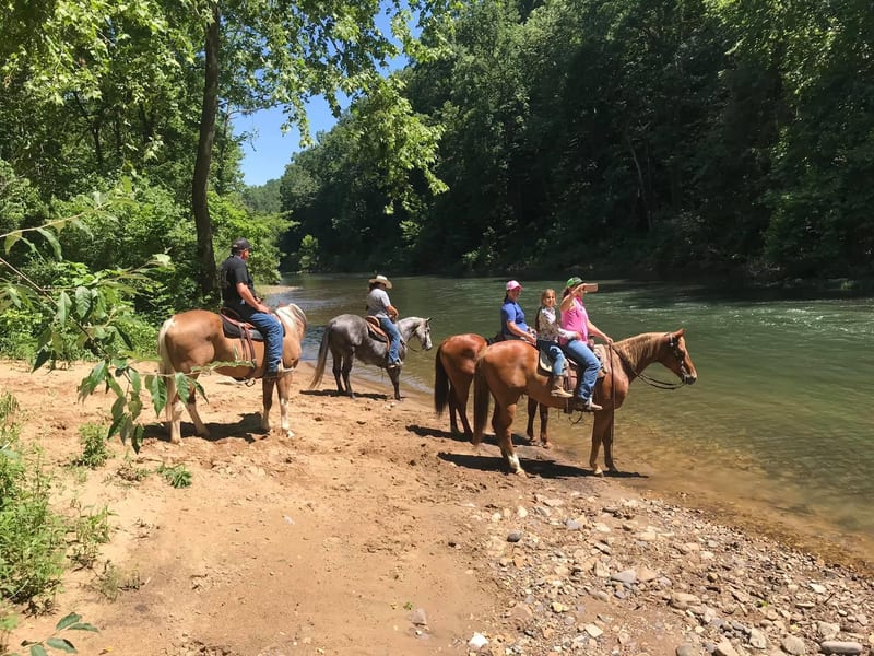 Virginia Horse Center Benefit Trail Ride
