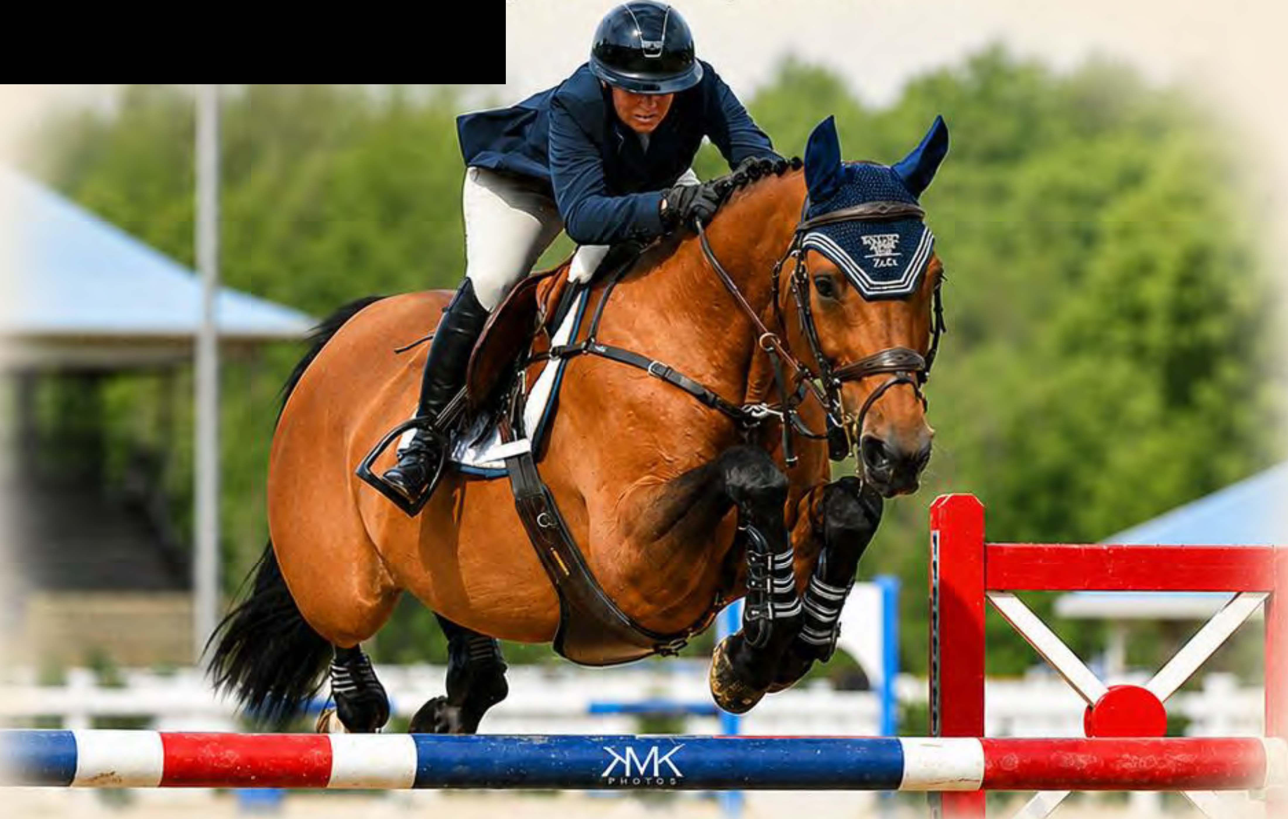 Hunter/jumper competitor over a fence at the Virginia Horse Center, from the 2026 Lexington National prize list. Photo: KMK Photos.